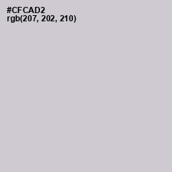 #CFCAD2 - Ghost Color Image