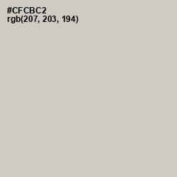 #CFCBC2 - Pumice Color Image