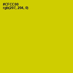 #CFCC00 - Bird Flower Color Image