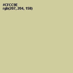 #CFCC9E - Pine Glade Color Image
