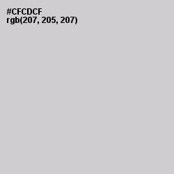 #CFCDCF - Pumice Color Image