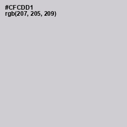 #CFCDD1 - Ghost Color Image