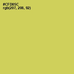 #CFD05C - Wattle Color Image