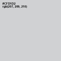#CFD1D2 - Conch Color Image
