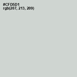 #CFD5D1 - Conch Color Image