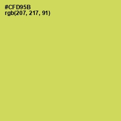 #CFD95B - Wattle Color Image