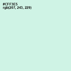 #CFF3E5 - Mint Tulip Color Image