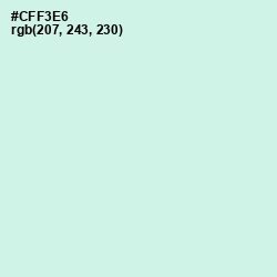 #CFF3E6 - Mint Tulip Color Image