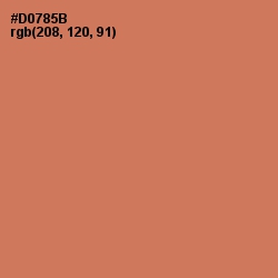 #D0785B - Raw Sienna Color Image
