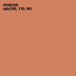 #D08260 - Copperfield Color Image