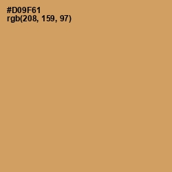 #D09F61 - Whiskey Color Image