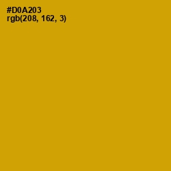#D0A203 - Buddha Gold Color Image