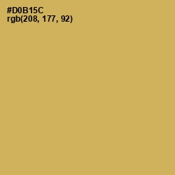 #D0B15C - Sundance Color Image