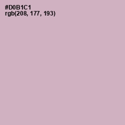 #D0B1C1 - Lilac Color Image