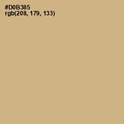#D0B385 - Tan Color Image