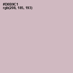 #D0B9C1 - Pale Slate Color Image