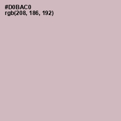 #D0BAC0 - Pale Slate Color Image