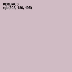 #D0BAC3 - Pale Slate Color Image