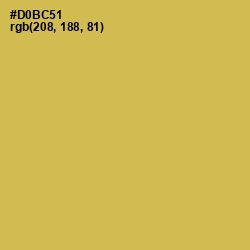 #D0BC51 - Turmeric Color Image