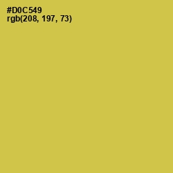 #D0C549 - Wattle Color Image