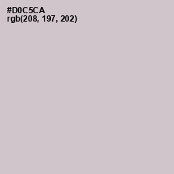 #D0C5CA - Swirl Color Image