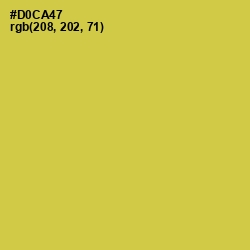 #D0CA47 - Wattle Color Image