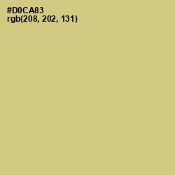 #D0CA83 - Pine Glade Color Image