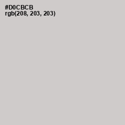#D0CBCB - Swirl Color Image