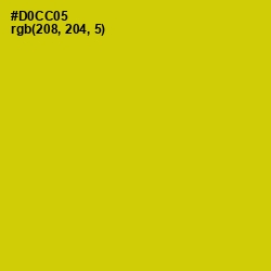 #D0CC05 - Bird Flower Color Image
