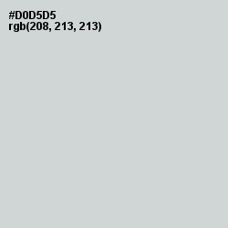 #D0D5D5 - Quill Gray Color Image