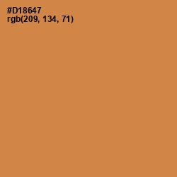 #D18647 - Tussock Color Image
