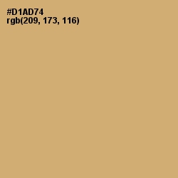 #D1AD74 - Laser Color Image