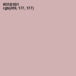 #D1B1B1 - Blossom Color Image