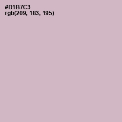 #D1B7C3 - Pale Slate Color Image