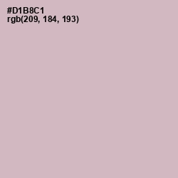 #D1B8C1 - Pale Slate Color Image