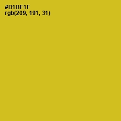 #D1BF1F - Gold Tips Color Image
