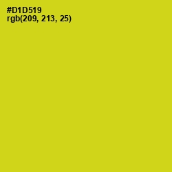 #D1D519 - Barberry Color Image