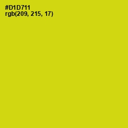 #D1D711 - Barberry Color Image