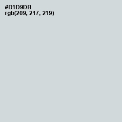 #D1D9DB - Iron Color Image