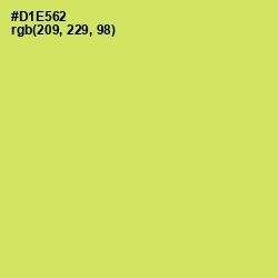 #D1E562 - Yellow Green Color Image