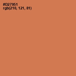 #D27951 - Raw Sienna Color Image