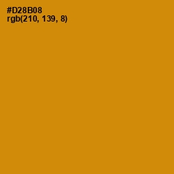 #D28B08 - Pizza Color Image