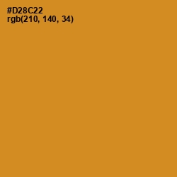 #D28C22 - Brandy Punch Color Image