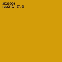 #D29D09 - Pizza Color Image