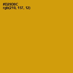 #D29D0C - Pizza Color Image