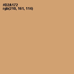 #D2A172 - Laser Color Image