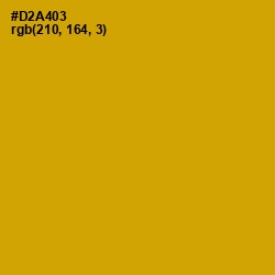 #D2A403 - Buddha Gold Color Image
