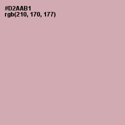 #D2AAB1 - Clam Shell Color Image