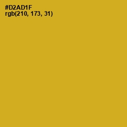 #D2AD1F - Gold Tips Color Image