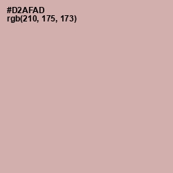 #D2AFAD - Clam Shell Color Image
